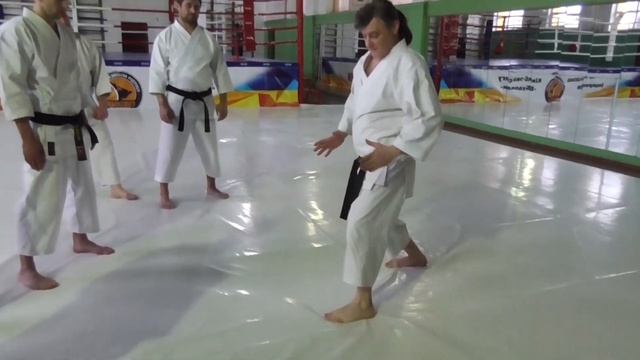 Основа перемещения в ФУДОКАН карате-до | Это нужно практиковать каждый день смотреть онлайн
