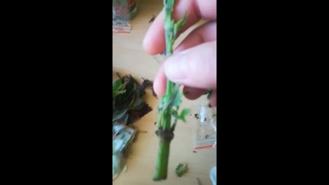 Не качественный товар. смотреть онлайн