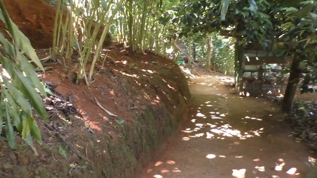 /ЗА/Чайный Муннар Индия смотреть онлайн