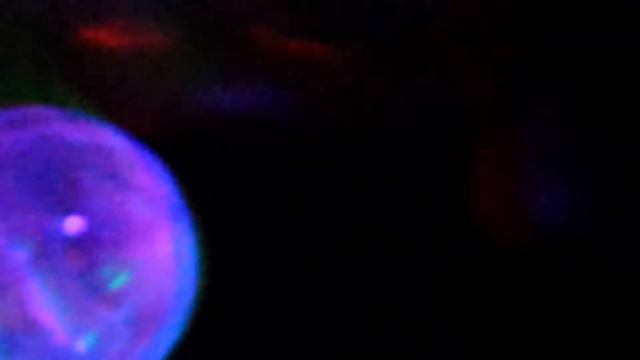 Monster High Cleo De nile empire смотреть онлайн