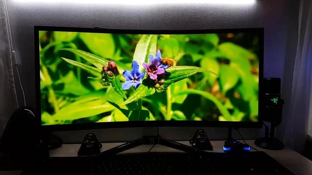 Обзор UltraWide монитора Benq XR3501 смотреть онлайн