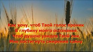 Песня «Боже мой научи тишине»..Музыка и пение Елены Ольденбургер. Слова Светланы Тимохиной.
