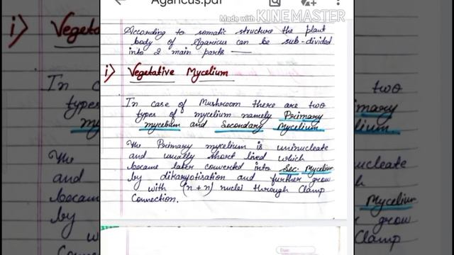 Fungi- Agaricus life cycle///Botany bsc 1st year смотреть онлайн