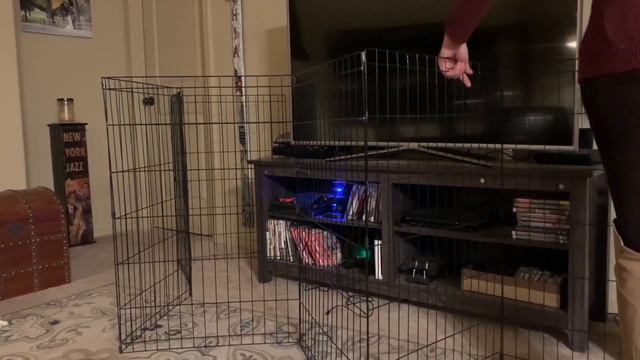 What to Know About Training a Rescue Dog (and Advice for 3 Common Problems) //THE KIND CANINE смотреть онлайн