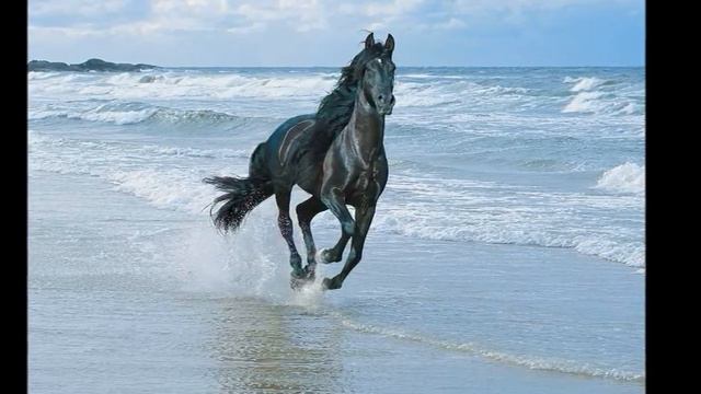 Дорогой длинною смотреть онлайн