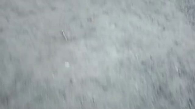 Тест гетр DEMIX