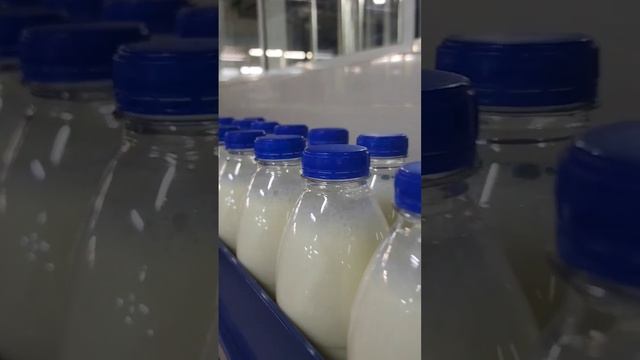 ЯДРИНМОЛОКО Чувашия, город Ядрин. Сегодня была на производстве ждите новый ВЛОГ #чувашия #чебоксары смотреть онлайн