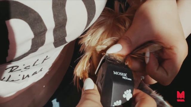 Детальная стрижка триммеры MOSER Rex mini 1411 0062 и Prima 1586 0060 смотреть онлайн