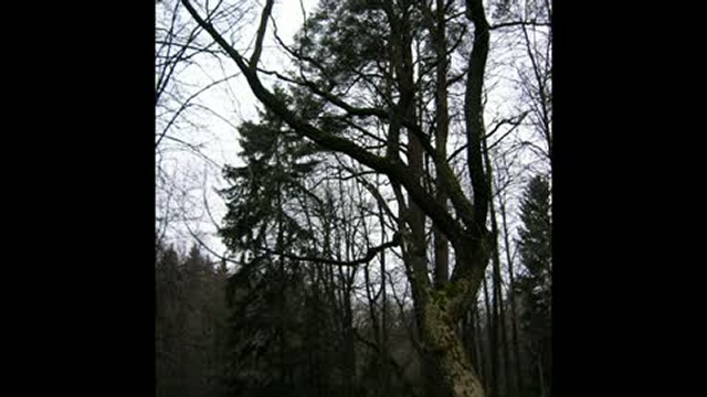 Университет (20.11.2010) смотреть онлайн