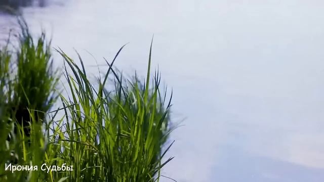 Юра бросил опоротивившую жену, когда вернулся думал она в ноги бросится, но замер... смотреть онлайн