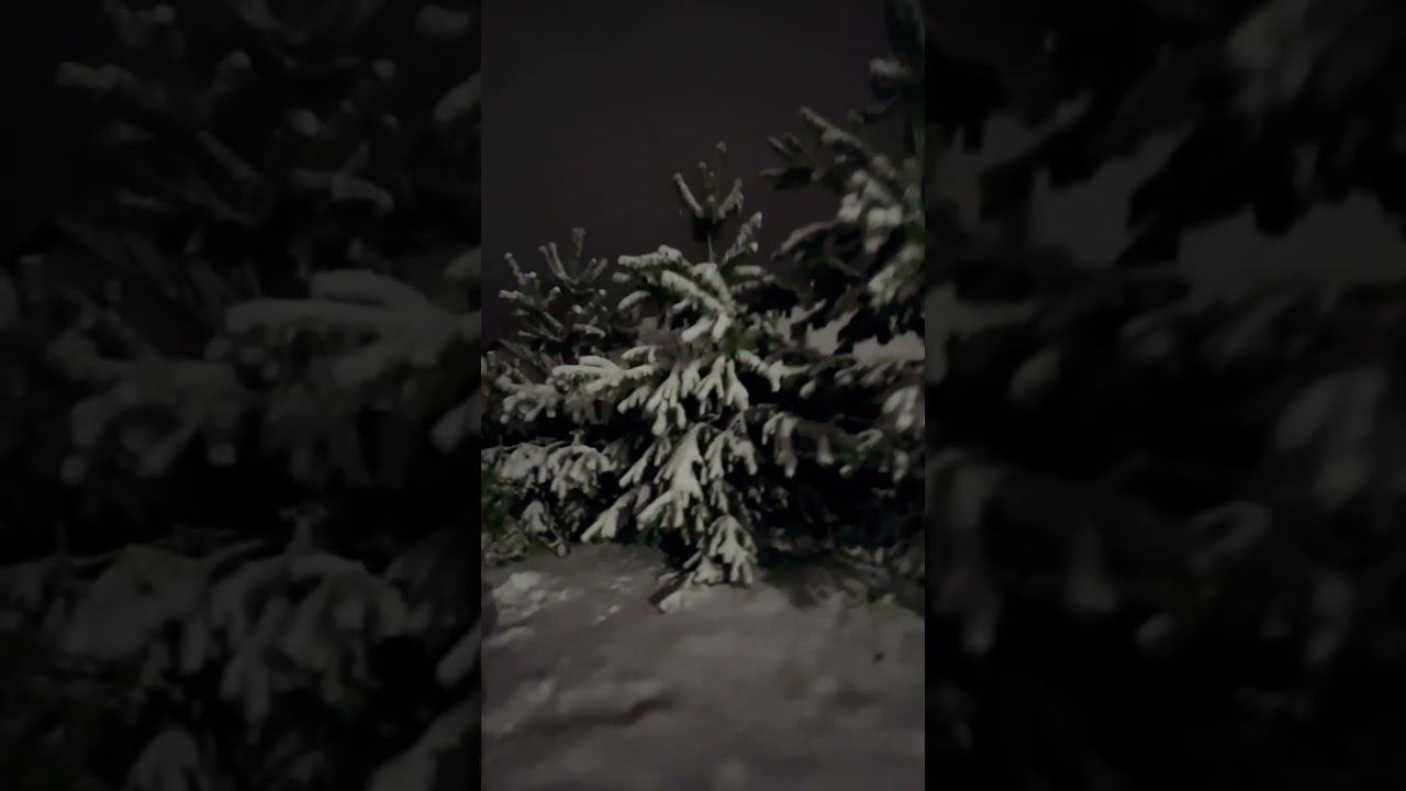 Первый снег 27.10.2023 смотреть онлайн