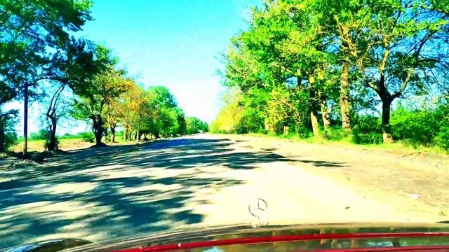 Сакит Самедов . Залина (Zalina) смотреть онлайн