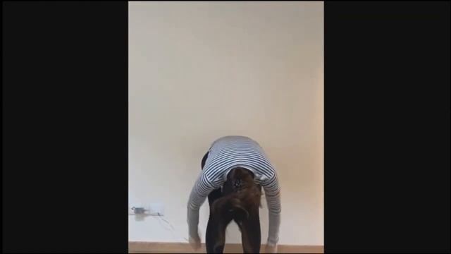 Восстановление чувства безопасности и стабильности после травмы. - Sonia Gomes, Stephen Porges смотреть онлайн