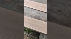 Шлифовка вагонки