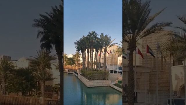 #shorts#dubai#свежийветер ОАЭ .Мадинат Джумейра или Дубайская венеция. Февраль в Дубае 2023г