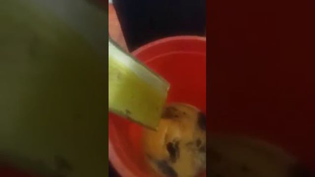 Холодный отжим льна смотреть онлайн