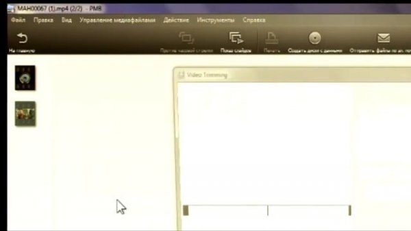 Использование Picture Motion Browser