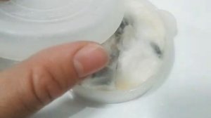 Как прорастить кедровые орешки☺