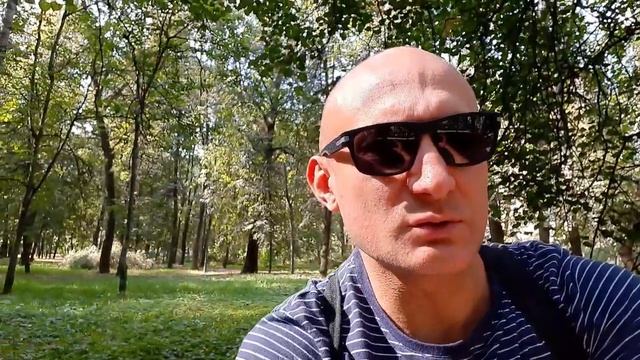 СКОЛЬКО Я ЗАРАБОТАЛ НА ДЗЕНЕ ЗА ТРИ МЕСЯЦА? смотреть онлайн