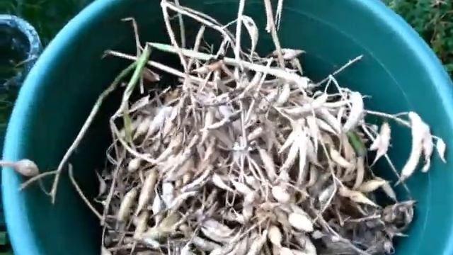 Строительные Приметы