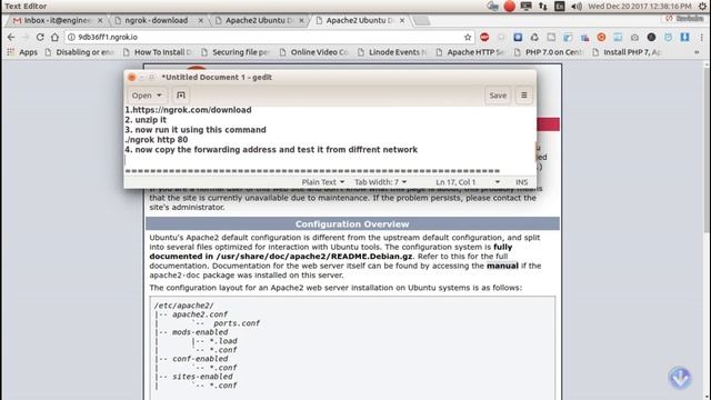 how to port forward using ngrok смотреть онлайн