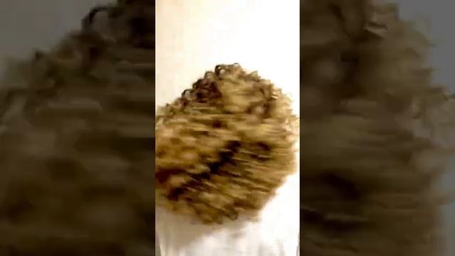 Афро кудри смотреть онлайн