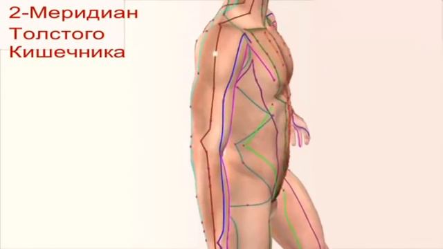 02 Меридиан Толстый кишечник смотреть онлайн