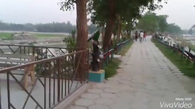 Travel Ghagot in Rangpur city | Bangladesh tour | good plase смотреть онлайн