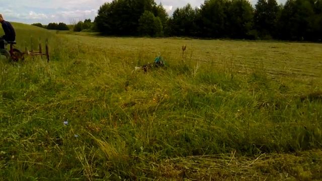Заготовка сена Мотоблоком Нева. Сгребаем в валки. смотреть онлайн