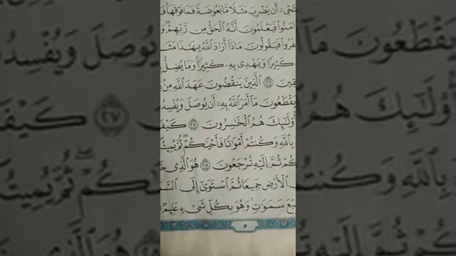 женщина красиво читает Коран? смотреть онлайн