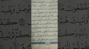 женщина красиво читает Коран?