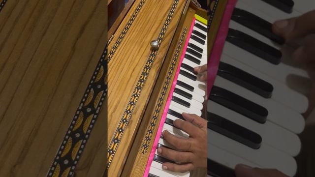 #despacito on #harmonium : -) смотреть онлайн
