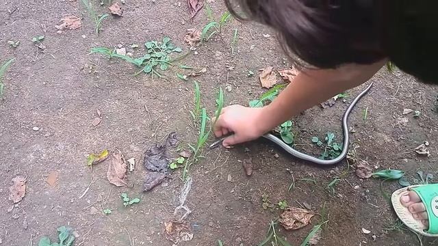 резиновая змея как настоящая смотреть онлайн