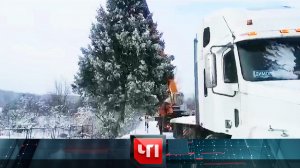 «ЧП»: 30 ноября 2023 года | «Чрезвычайное происшествие» на НТВ