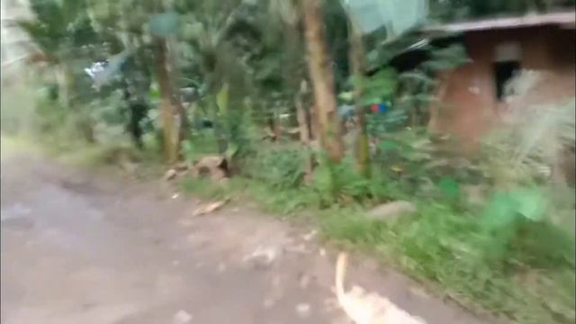 ANG GALING NG BATANG TO MY FUTURE TO | TACUNAN ROUTE | CHILL RIDE AHON AT LUSONG смотреть онлайн