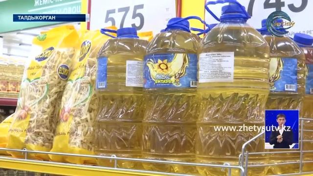 В Алматинской области должна действовать единая экономическая программа смотреть онлайн