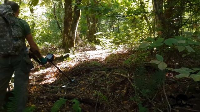 Коп в лесу, встреча с медведем смотреть онлайн