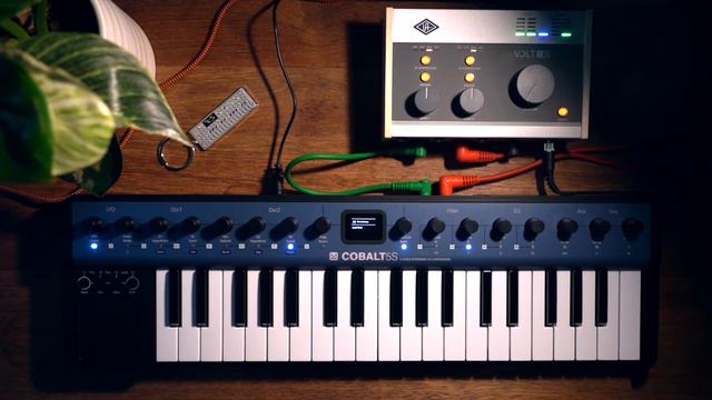 Synths On Film - Modal Electronics Cobalt 5S смотреть онлайн