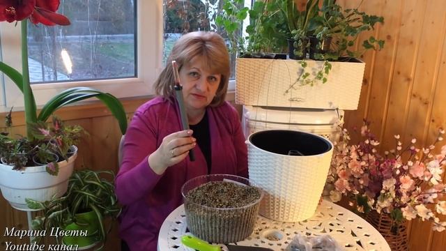 Кашпо LECHUZA NIDO с автополивом. Посадка ампельных растений смотреть онлайн