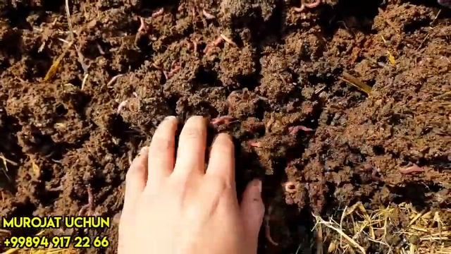 MANA SIZGA QOLBOLA TEXNIKA 4X4 SAMARQANDLIK USTA MINI TRAKTOR YASADI смотреть онлайн