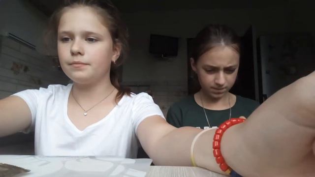 Покупки из магазина Ашан