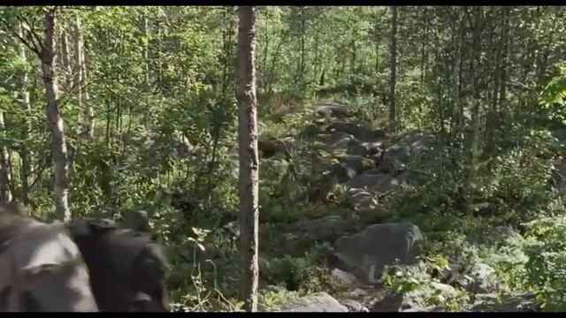 TARJIMA KINO GOLAGDAN QOCHISH смотреть онлайн