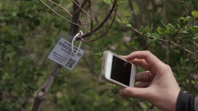 Тюльпаны с доступом в интернет смотреть онлайн