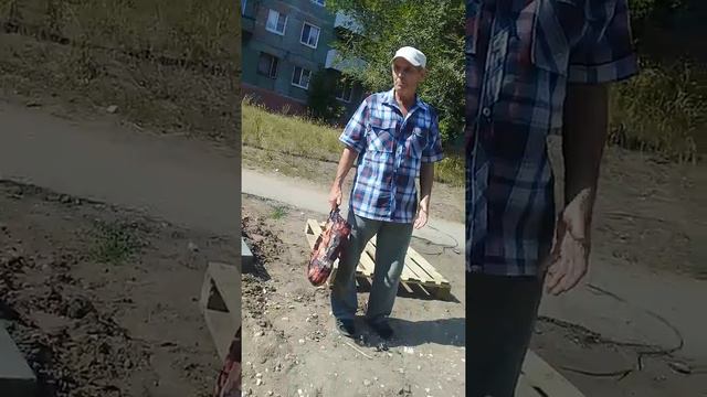 Дед БамБам .г.о.Сызрань.смотреть ВСЕМ. смотреть онлайн