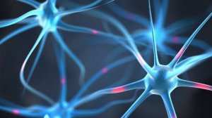 Что чувствует человек, когда умирает от рака?