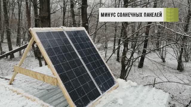 кратко о моей солнечной системе лесная жизнь