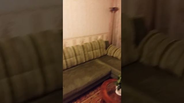 Квартира - студия на Книповича 21, г. Мурманск смотреть онлайн