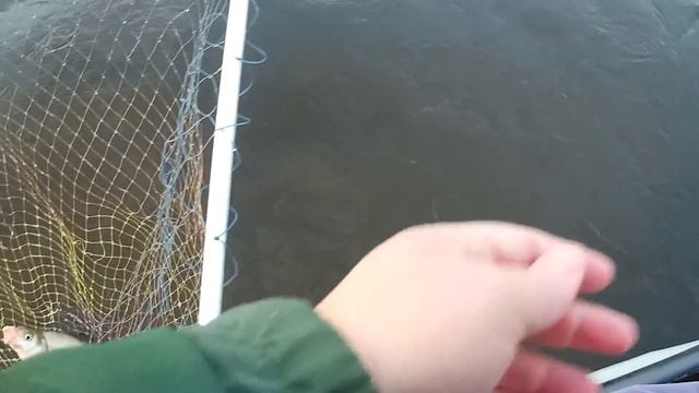 Ловля леща в сентябре. Рыбалка на леща с лодки. смотреть онлайн