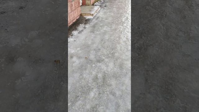 Омск, 29.11.2023г. Гололед есть, песка нет. смотреть онлайн