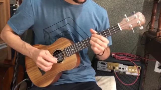 Nothing Else Matters (Ukulele Solo) смотреть онлайн